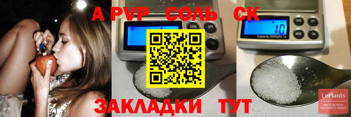 APVP СК Асино
