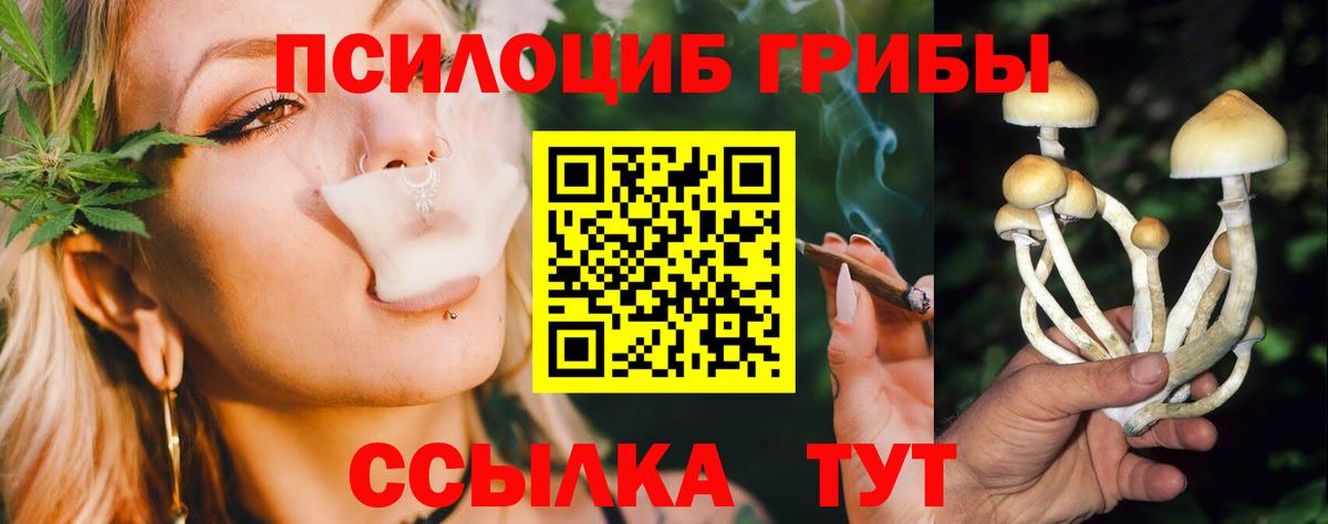 продажа наркотиков  Галлюциногенные грибы Psilocybine cubensis  Вход с VPN  Асино  Галлюциногенные грибы MAGIC MUSHROOMS 